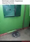 1750959904920.webp