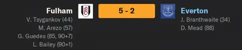 Fulham result.webp