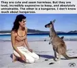 1751267975478.webp