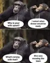 5755421A-7F77-4089-A45B-B6CE17500E52.webp
