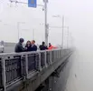 Bridge .webp