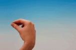 IMG_2575.gif