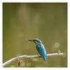 1751801728432.webp