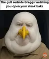 1751966732327.webp