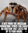 1000082913.webp