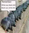 974FD4E5-1F65-415F-802E-82C6E277B6CB.webp
