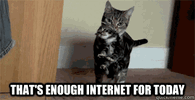 IMG_2586.gif
