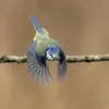 1752518178595.webp