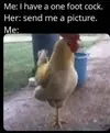 1752573108737.webp