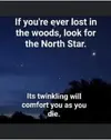 1752684956792.webp