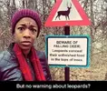 1752837128740.webp