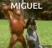 IMG_9807.gif