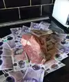 Minted lamb.webp