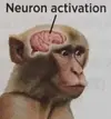 1752885870664.webp