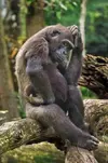724071a8208f69120797c11a37dd2c28.webp