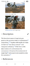 1753635545363.webp