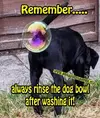 1753773763976.webp