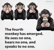 1753804192878.webp
