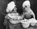 54f95e079acb7_-_dog-chefs-hat-3.webp