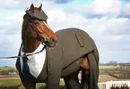 three-piece-tweed-horse-suit-emma-sandham-king-1.webp
