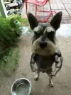 kIIlDXA.webp
