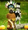 upload_2016-11-23_0-0-35.webp