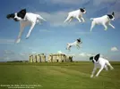 c07f80e827d2b018c52421b53df507a2.webp
