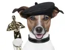 award-winning-dog.lg_.webp