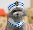 2015-new-dog-cat-fashion-font-b-hat-b-font-font-b-Sailor-b-font-suit.webp