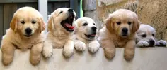 banner_5.webp