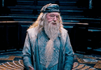 IMG_8687.gif