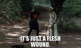Monty Python.gif