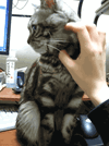 not-now.gif