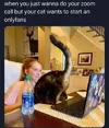 1754498628411.webp