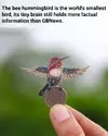 1754727126737.webp