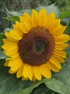 20250814_101343.webp