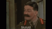 1755290215682.gif