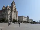 1000019601.webp 1000019601.webp
