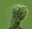1755443954358.gif