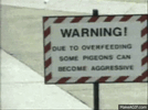 1755532827760.gif