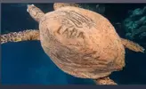 533958690_10232815354899695_8085924393913970365_n.webp