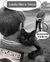 FB_IMG_1755984313758.webp