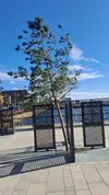 1000029615.webp