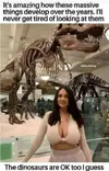 1756310791016.webp