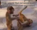 FB_IMG_1756495286092.webp