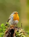 1756574667860.webp