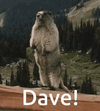 1000062360.gif