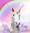 1756758504715.webp