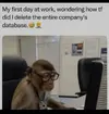 1756916857035.webp
