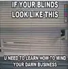 FB_IMG_1757248912429.webp